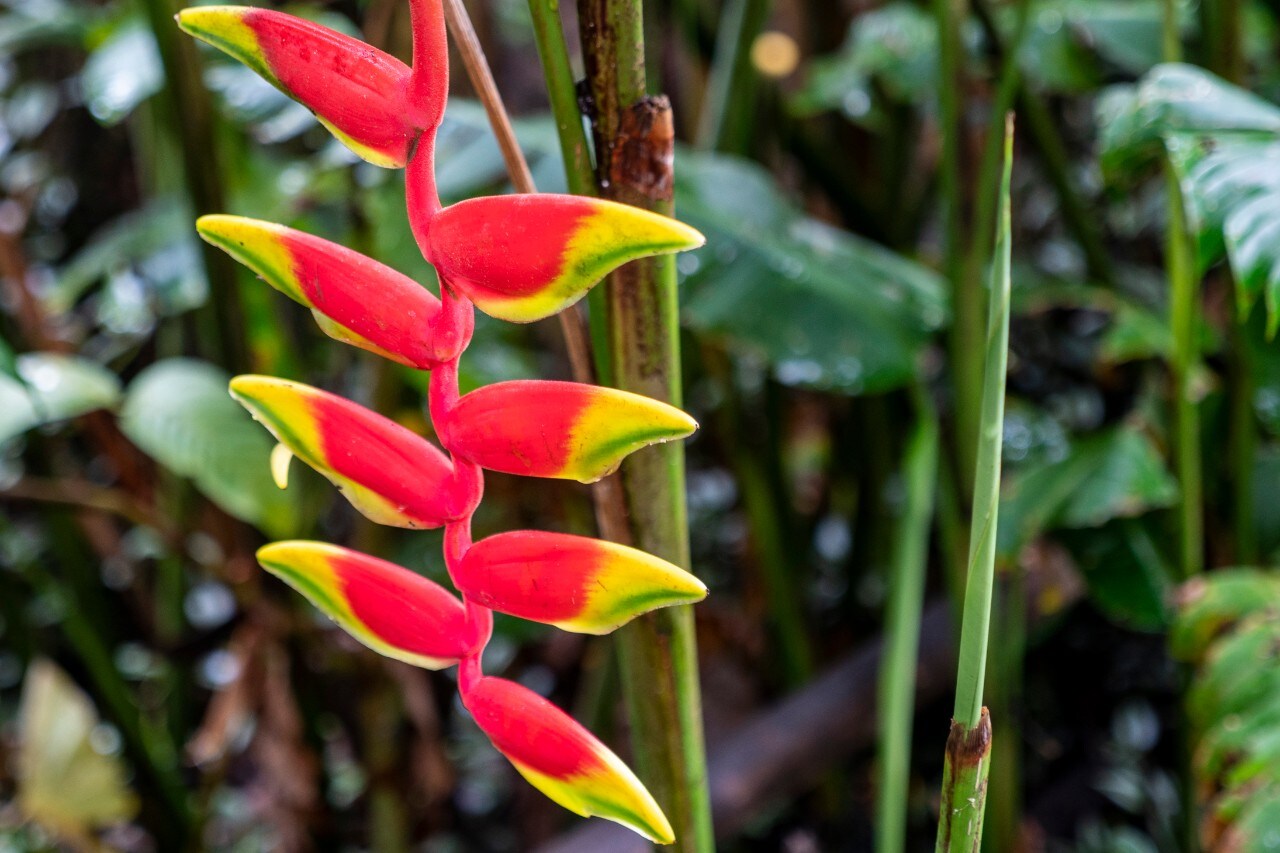 Turismo: Transafrica